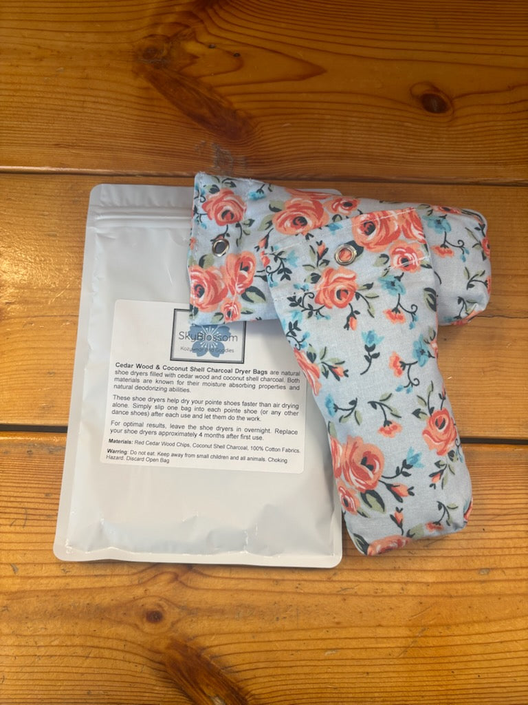 Dance shoe deodorizer bags for ballet and pointe shoes